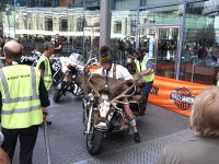gal/Berlin_2009/Harley_Davidson/_thb_RIMG1081.JPG