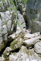 The source of Soca river