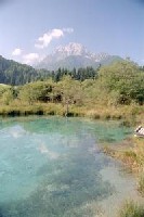 The source of Sava Dolinka