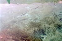 The source of Sava Dolinka